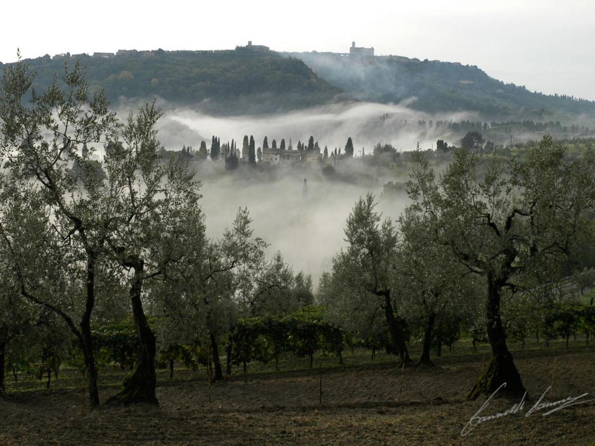 Holiday Home Podere Santa Lucia By Interhome Volterra Luaran gambar